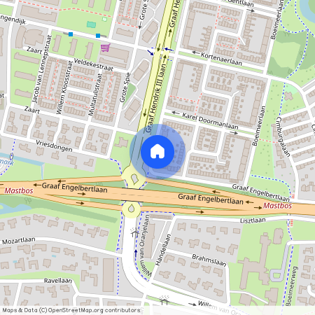 Graaf Hendrik III laan 169, Boeimeer, 4819CG, Breda