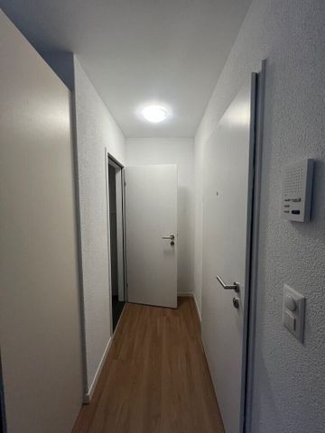 Alles in der Nähe! - Photo 3