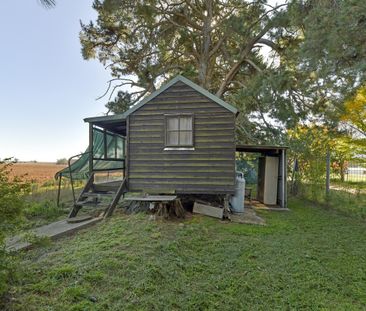 38 Kinghorn Lane, Orange NSW 2800 - House For Rent | Domain - Photo 3