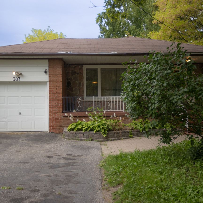 For Lease - 387 Crosby Avenue Unit# Basement, Richmond Hill, Ontario - Photo 1