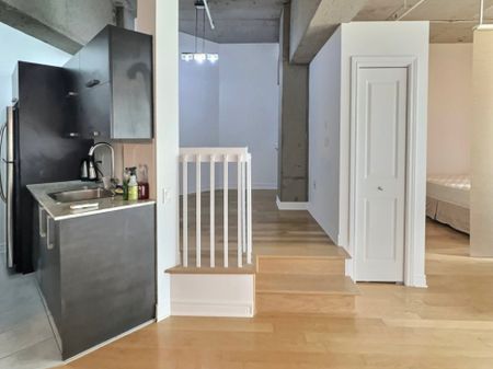 Appartement à louer - Montréal (Ville-Marie) (Centre) - Photo 3