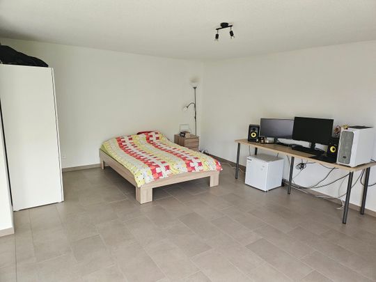 Cercasi subentrante per monolocale a Losone - Foto 1