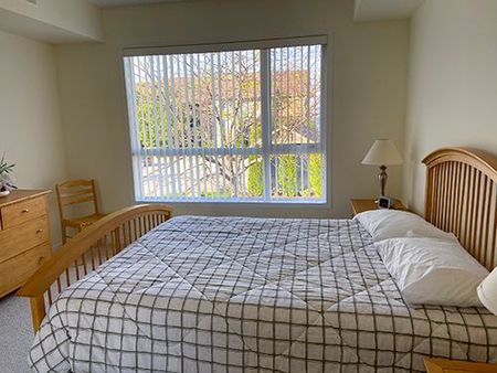For Lease - 447 Mariners Way, Collingwood, Ontario - Photo 5