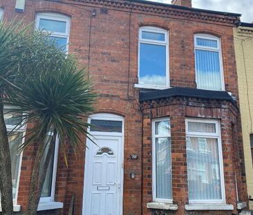 88 Melrose Street, Belfast, BT9 7DQ - Photo 6