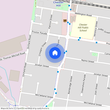 Chester Hill, NSW 2162