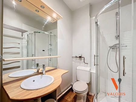 Location Appartement 1 pièce 25m² GRENOBLE 38000 - Photo 2