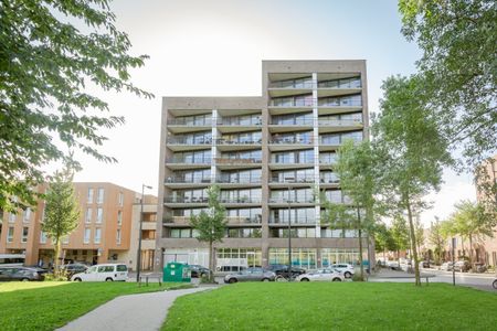 F Dietrich Kahlenbergstr 50C, 1087LL Amsterdam - Photo 5