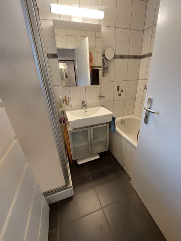 À LOUER Appartement 4,5 pièces avec grand jardin - Photo 4