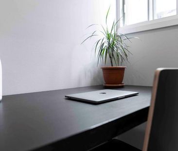 Studio rénové - Métro Crémazie - Photo 4