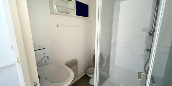 Location Appartement 1 pièce 23m² ROANNE 42300 - Photo 3