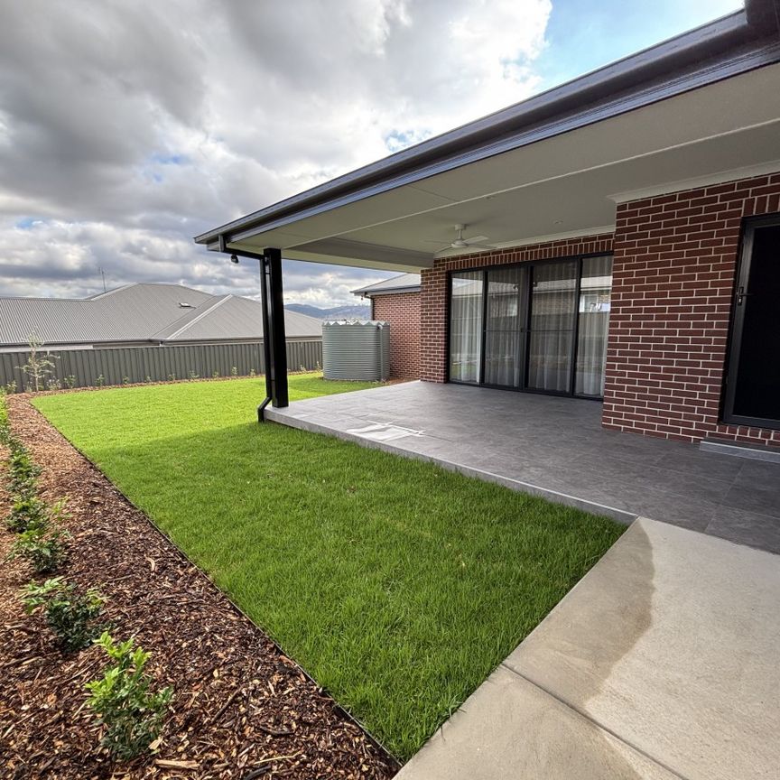 13 Alsace Place, Tamworth - Photo 1