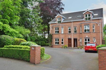 Apt 3, 44 Cyprus Avenue, Ballyhackamore, Belfast, BT5 5NT - Photo 2