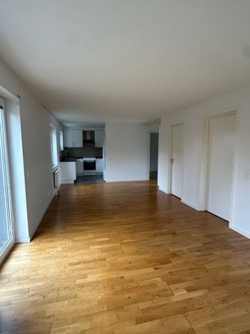 Hans villius Gata, Kalmar - Foto 3