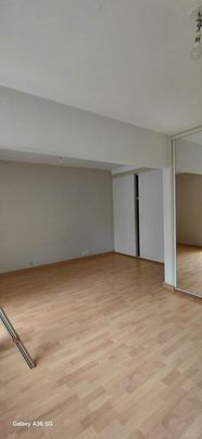 Location Appartement 1 pièce 38m² ANGERS 49100 - Photo 1