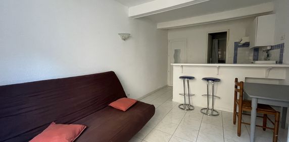 Location Appartement 1 pièce 19m² NARBONNE 11100 - Photo 2