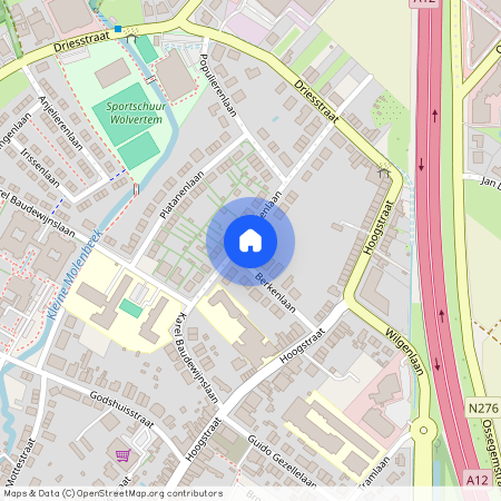 Berkenlaan 29 - 1860 MEISE