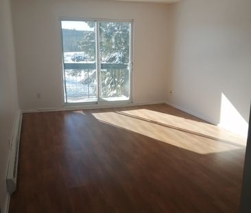 GRAND 2 CHAMBRES CHAUFFE ECLAIRE - Photo 3