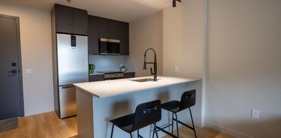 3 1/2 APPARTEMENT MEUBLÉ À LOUER - Photo 2