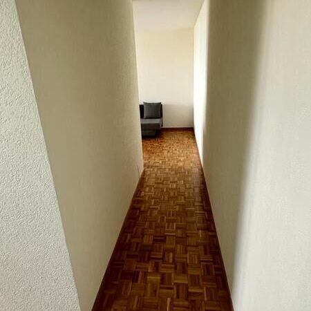 APPARTEMENT 3 PIÈCES À GRAND-LANCY (GE), MEUBLÉ - Photo 1