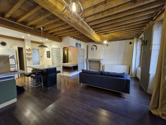 Location Appartement 2 pièces 58m² VIENNE 38200 - Photo 1