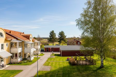 Solberga: Etta i markplan - Foto 5