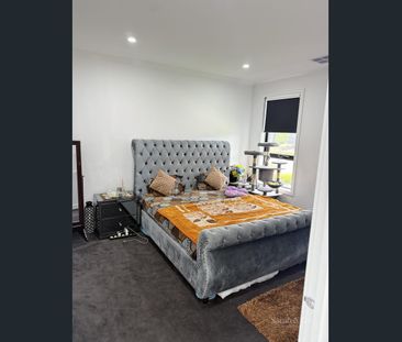 Modern 4-Bedroom Home in Mount Duneed...!!! - Photo 5