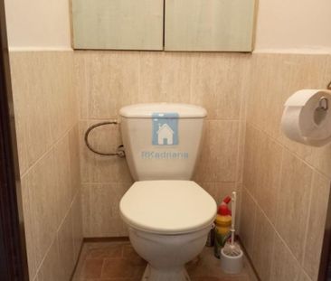Pronájem bytu 1+kk 25 m2 - Fotografie 3