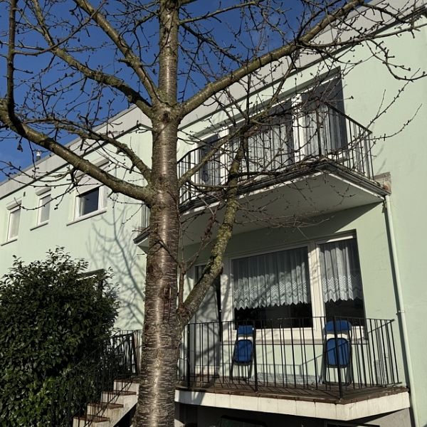 Modernisierte 3-Zimmer-Wohnung in zentraler Lage von Nienburg - Photo 1