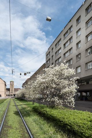 "Helle 3-Zimmer-Wohnung in zentraler Lage in Basel" - Photo 3
