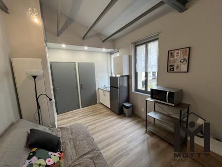 Location Appartement 1 pièce Meublé 17m² NANCY 54000 - Photo 4
