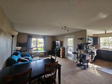 Large 2bed 2bath Condo; Rutland – Available May or June - Photo 2