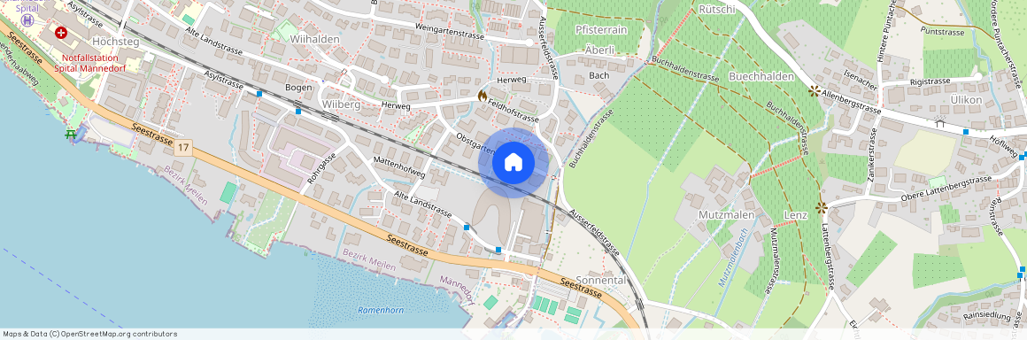 Obstgartenweg 20, 8708, Männedorf