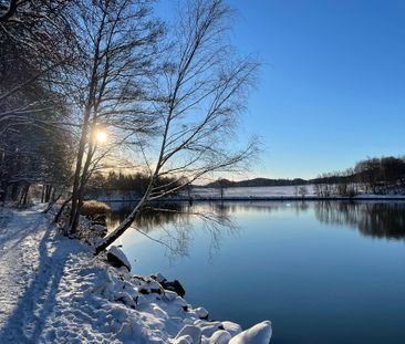 Lupinvägen, Sjuntorp - Photo 6