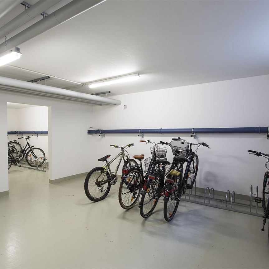 Charmante 3-Zimmer-Wohnung mit Einbauküche und Duschbad - Foto 1