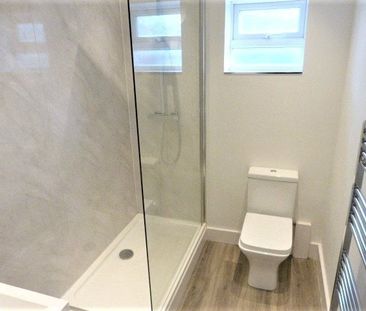 Albert Park Montpelier, Bristol, BS6 - Photo 6