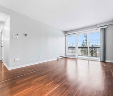 Spacious Two-Bedroom Condo for Rent Near Rideau River - Photo 4