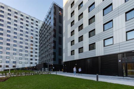 Studio to rent - Photo 5