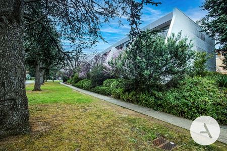 4/8 Giles Street, Kingston ACT 2604 - Apartment For Rent | Domain - Photo 5