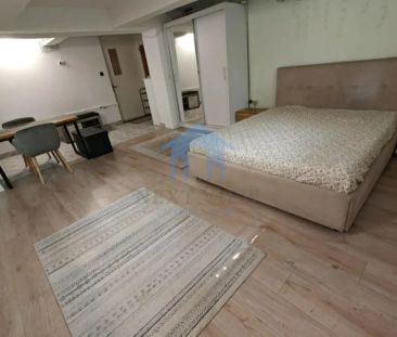 Apartament 1 camera, Andrei Muresanu - Fotografie 3