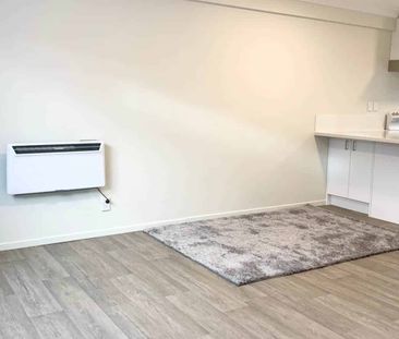 Fully renovated Studio apartment - Photo 4