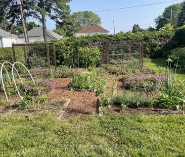 For Lease - 81 Burlingame Road, Toronto, Ontario - Photo 5