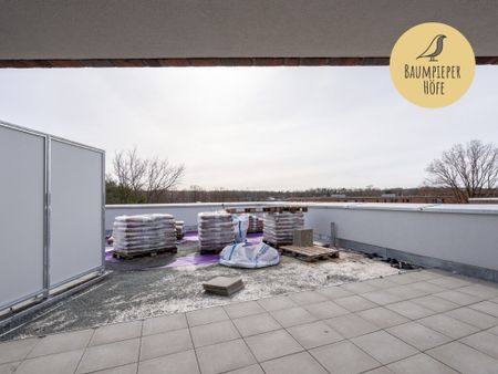 Dachterrasse und Loggia: 3-Zimmer-Wohnung mit viel Platz! (kein Jobcenter, WBS) - Foto 3