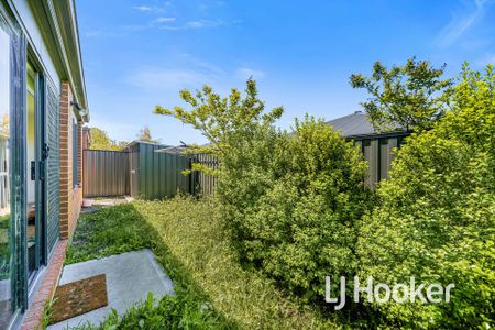 Quiet Location! 6 Month Lease Only - Photo 3