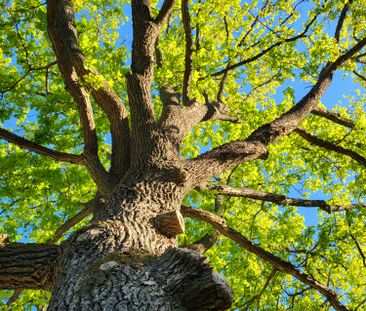 Söravägen, Åkersberga - Photo 6