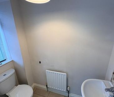 33 Stream Street, Downpatrick, BT30 6DE - Photo 6