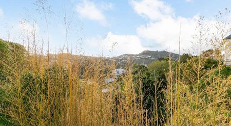 4 BR Kelburn Flat with 2 courtyards - Photo 2