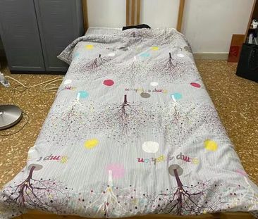 Via Tuscolana, Rome, Lazio 00175 - Photo 1