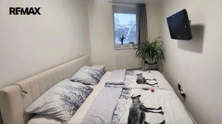Pronájem 2+kk s garážovým stáním a komorou, Olomouc - Hejčín - Photo 5