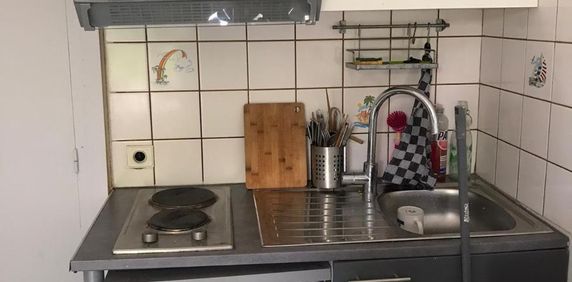 Location Appartement 1 pièce 15m² ST SAULVE 59880 - Photo 2