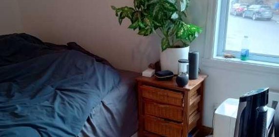 Beau 3 1/2 – Rosemont/Petite-Patrie - Photo 2